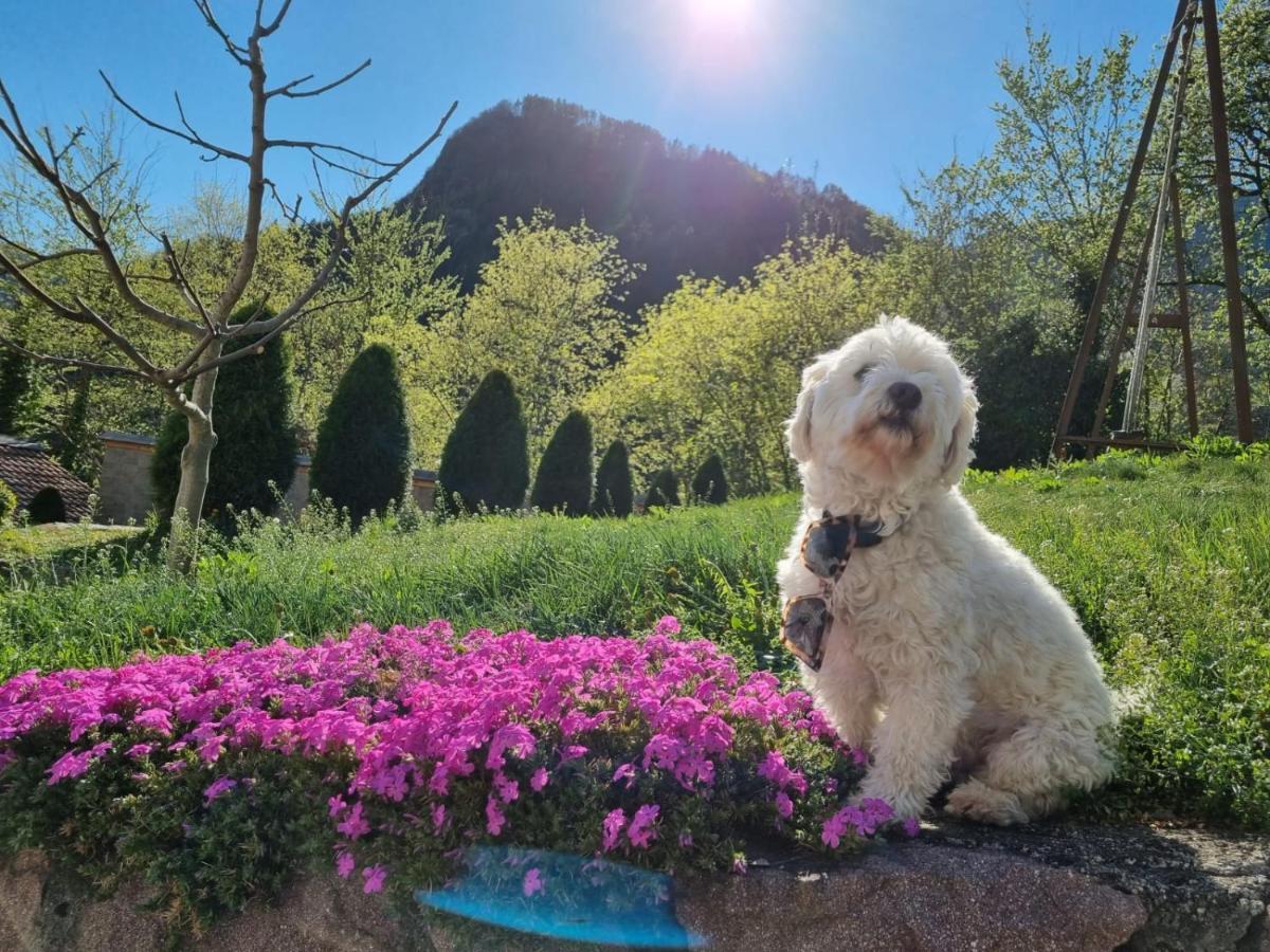 Ferienwohnungen Koflerhof Castelrotto Esterno foto