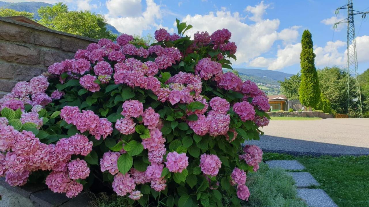 Ferienwohnungen Koflerhof Castelrotto Esterno foto